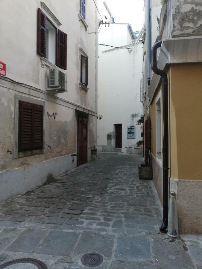 Apartment Nono Mario - Marin Piran