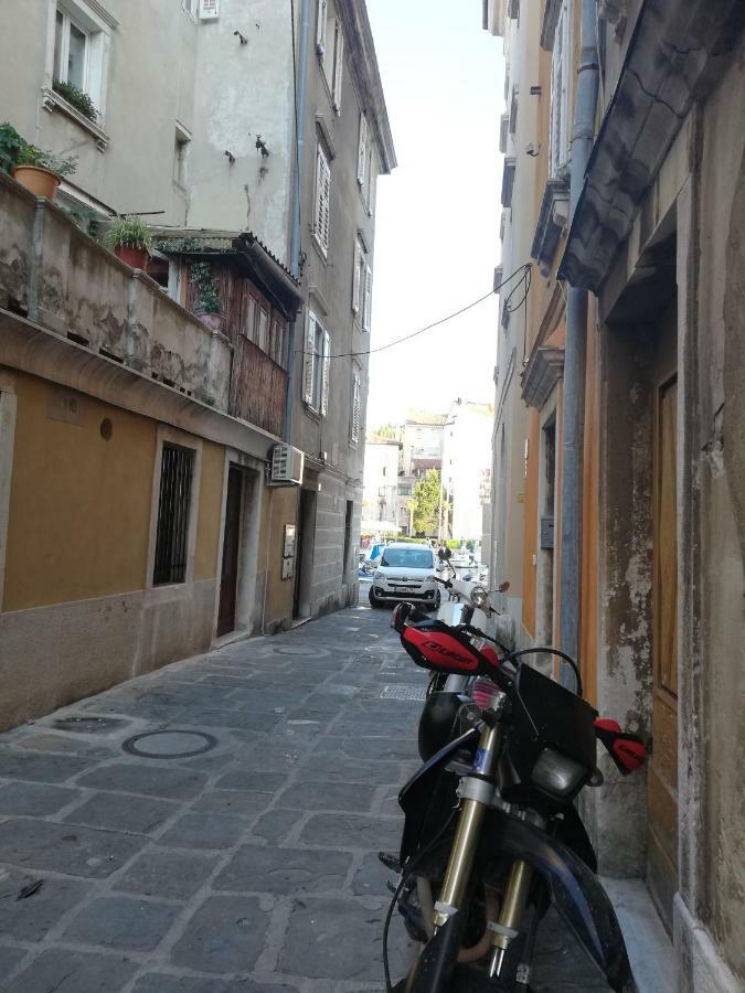 Nono Mario - Marin Apartment Piran