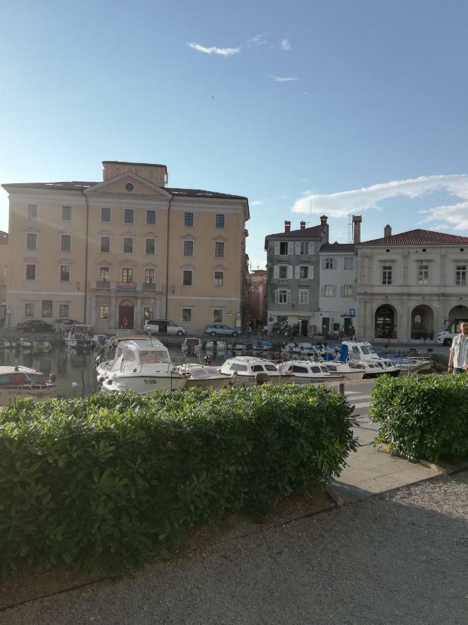Nono Mario - Marin Apartment *